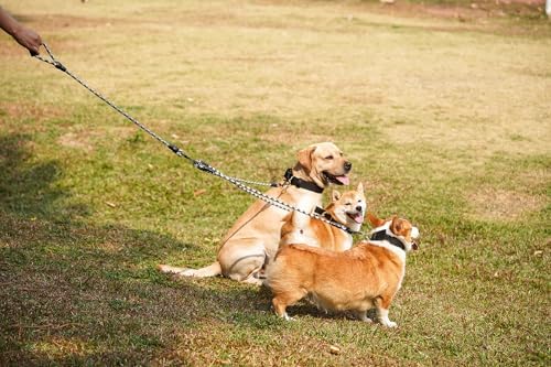 3 Dog Leash for 1-3 Dogs, 360° Swivel - Image 6