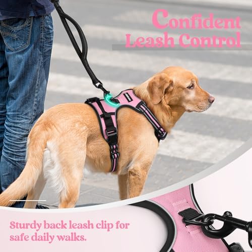 rabbitgoo Dog Harness, No Pull Medium Sized - Image 6
