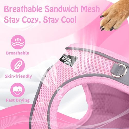 AIITLE Medium Dog Harness and Leash Set, Step-in Puppy Pet Vest - Image 6