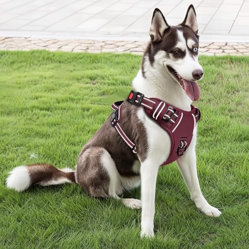 Timos Dog Harness, No Pull Large Sized - Image 6