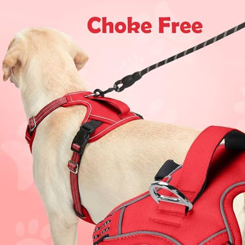 Funfox Dog Harness No Pull, Adjustable Pet Vest Harness, Super Soft Material - Image 4