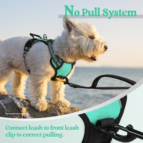 rabbitgoo Dog Harness, No Pull for Small Dogs - Image 5