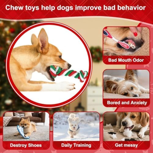 SZEE Dog Rope Toys 2 Pcs - Image 5