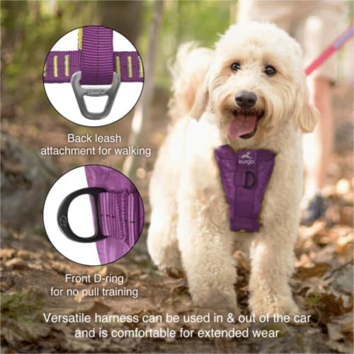 Kurgo Enhanced Strength Tru-Fit Smart Harness, Deep Violet - Image 4