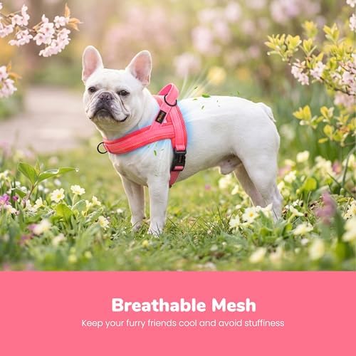 Didog No Pull Dog Harness for Small Dogs, Breathable Mesh Padded - Image 2