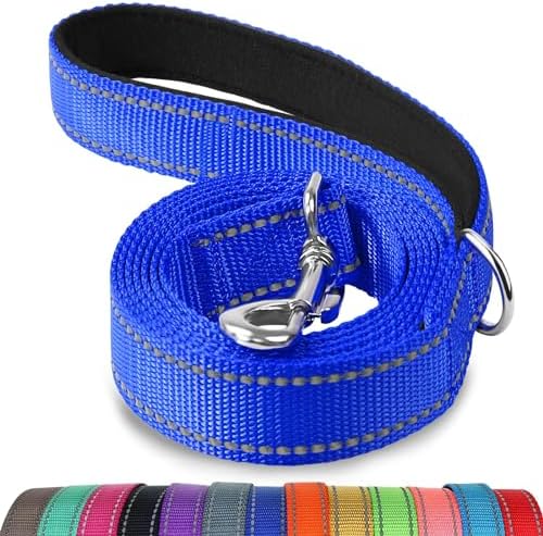 Joytale Reflective Dog Leash for Medium & Large Dogs, 4 FT x 1" by Joytale