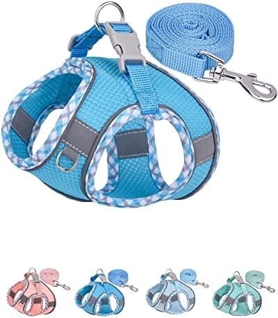 Petank Dog Harness for Small Medium Dogs No Pull, Puppy Harness and Leash Set by PetankCareforEveryPaw
