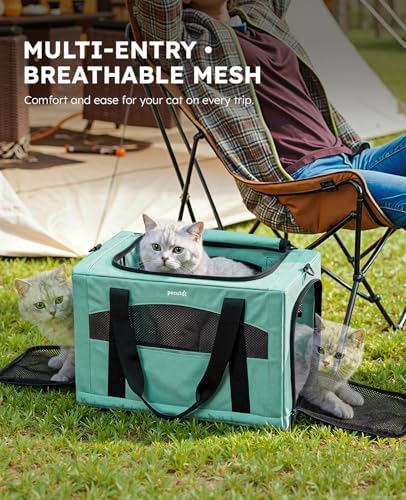 Pecute Cat Carrier Stable, Pet Carrier - Image 5