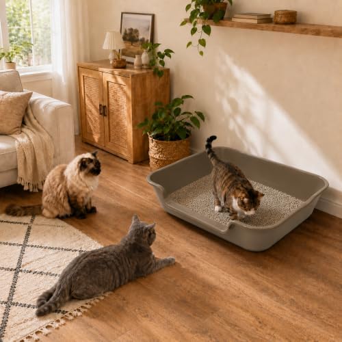 Extra Large Low Entry ABS Cat Litter Box, Light Brown, 1 Pack - Image 2