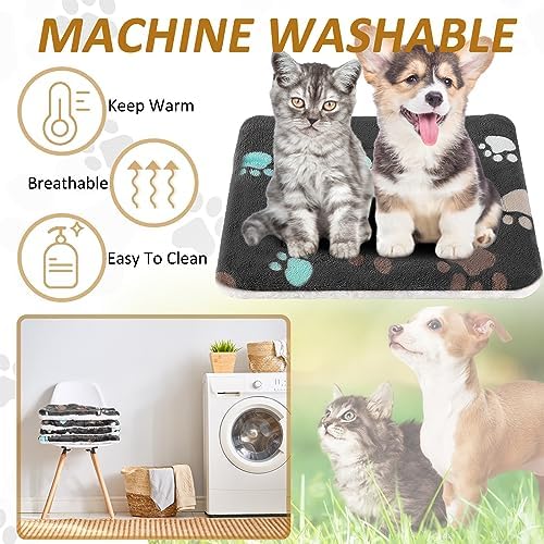 Tuanse 4 Pack Soft Pet Bed Mat Small Dog Crate Fleece - Image 4
