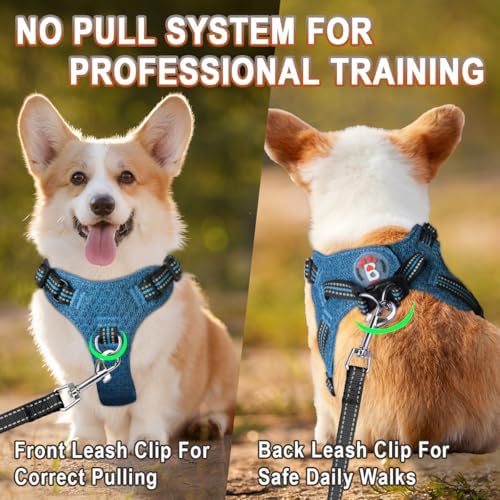 BARKBAY Small Dog Harness, No Pull Puppy Harness, Step-in Dog Vest - Image 5