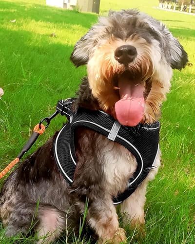 Joytale Step-in Dog Harness, Soft Breathable Mesh - Image 2
