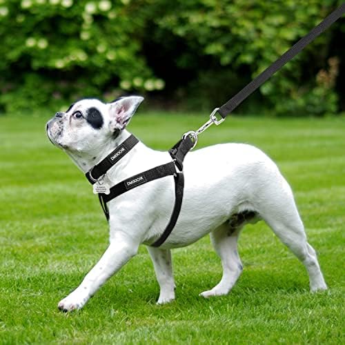 No Pull Dog Harness, Leash & Collar Set, Adjustable Step-in Vest - Image 5