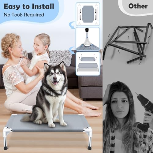 Elevated Dog Bed, Raised Dog Bed - Image 3