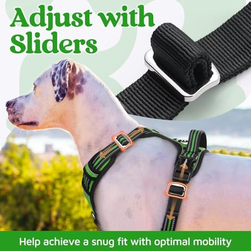 rabbitgoo Dog Harness Small Sized, No Pull 3 Buckles Easy On & Off - Image 5