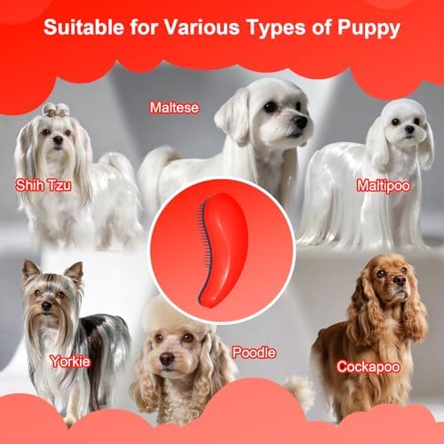 Small Dog Brush, Skin-friendly Soft Bristles - Image 6