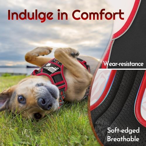 Eagloo Dog Harness No Pull for Medium Dogs, Easy On & Off - Image 6
