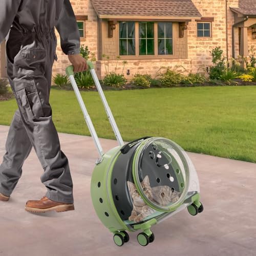 Rolling Pet Carrier, Cat Carrier - Image 3