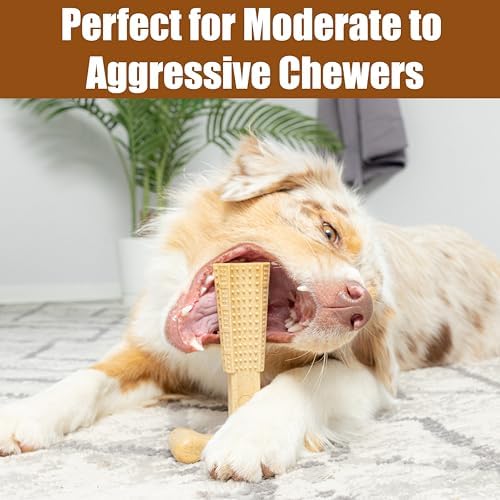 SPOT Bam-Bones Plus T-Bone Dog Chew, 60-90 lb Heavy Chewers - Image 5