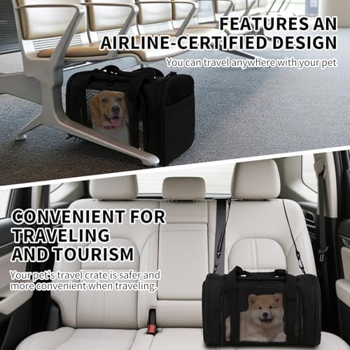 Carriers Soft-Sided Pet Carrier - Image 6