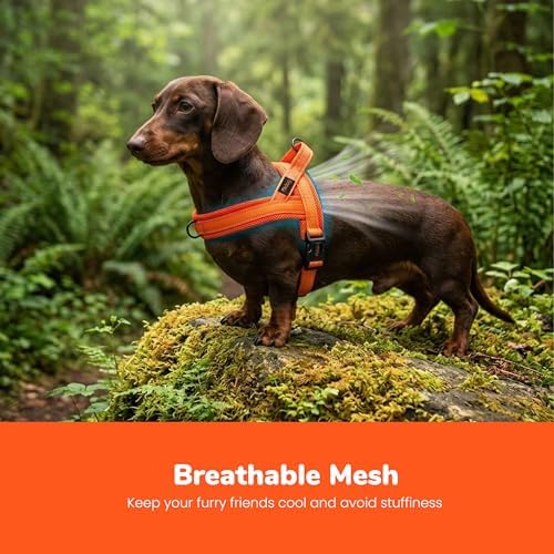 Didog No Pull Dog Harness for Small Dogs, Breathable Mesh Padded - Image 2