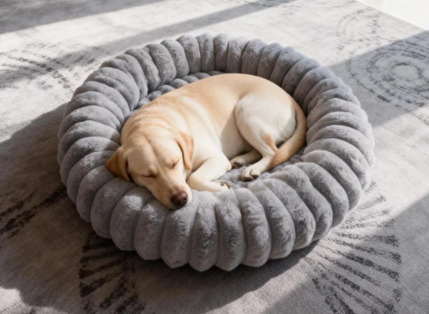 Washable Donut Dog Beds Large Sized Dog, Soft Pet Bed, 36in Grey by VhenWhen