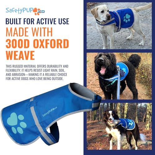 Reflective Dog Vest, Hi Vis Safety Gear - Image 5
