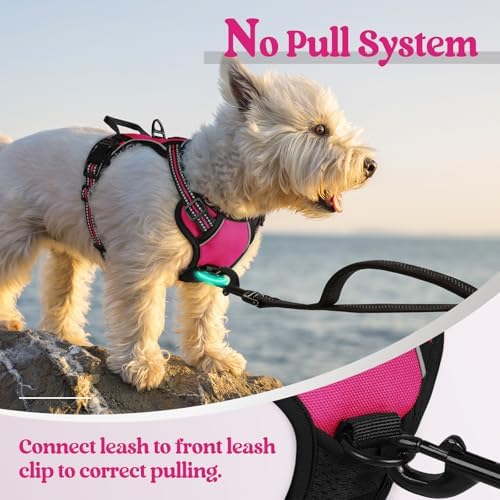 rabbitgoo Dog Harness No Pull - Image 5