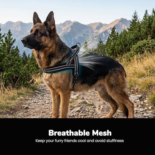 Didog No Pull Dog Harness for Large Dogs, Breathable Mesh Padded - Image 2