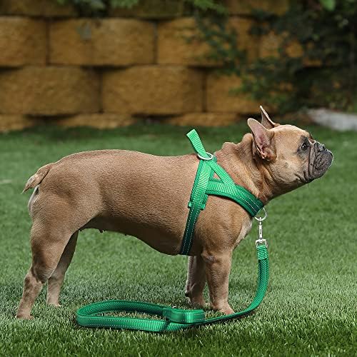 Plutus Pet No Pull Dog Harness for Medium Sized Dog, Breathable Mesh Padded - Image 5