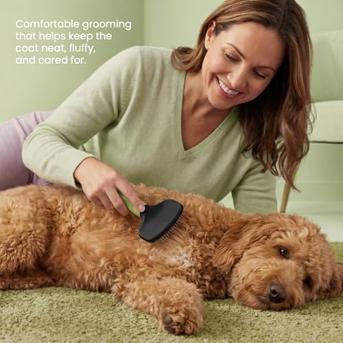 Poodle Pet Slicker Brush - Image 2