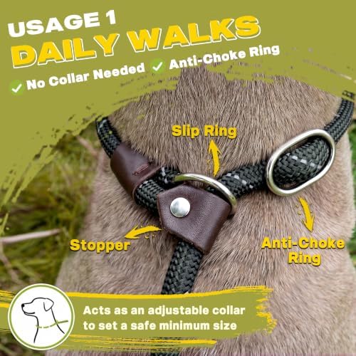 Fida Slip Lead Dog Leash 5 Pack, 6 FT x 1/2" Dog Training Leash - Image 4