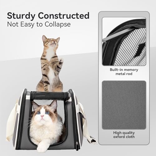 Petsfit Cat Carrier with Wheels, Removable Spinner Wheels - Image 5