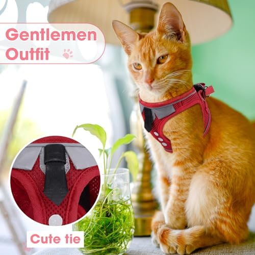 Cat Harness and Leash Set for Walking Escape Proof Vest for Kitten - Image 6
