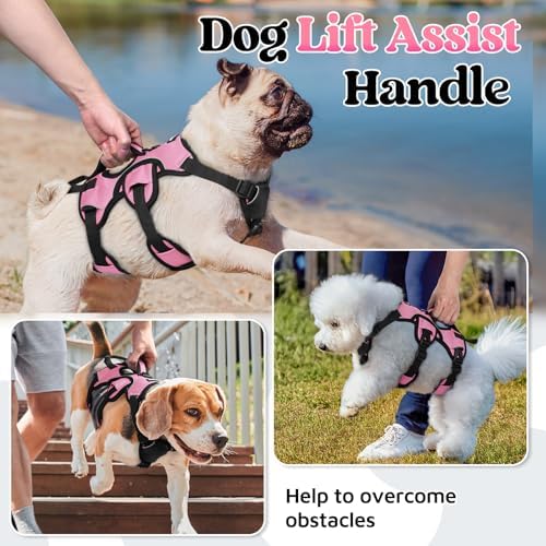 rabbitgoo Escape Proof Dog Harness - Image 3