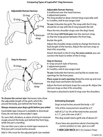 LupinePet Basics 3/4" Green 20-30" Step In Harness - Image 4