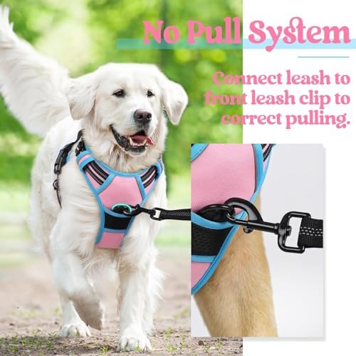 rabbitgoo Dog Harness, No Pull Medium Sized - Image 6