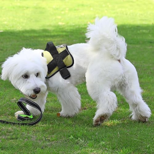 Bolux Dog Harness, No-Pull Reflective Dog Vest, Breathable Adjustable Pet - Image 6