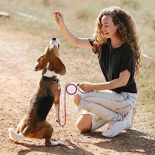 Segarty Dog Retractable Leash, 16ft Heavy Duty Walking Dog Leash - Image 7