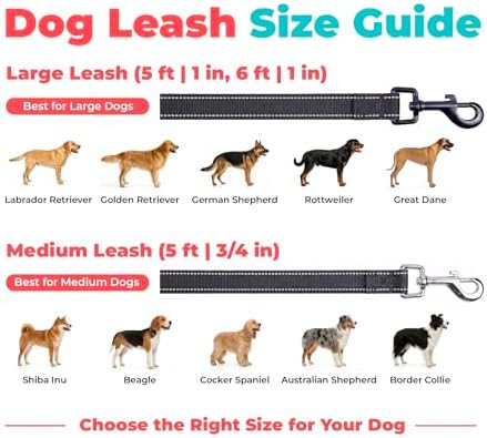 Best Pet Supplies Voyager Nylon Dog Leash - Image 6