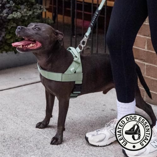 Dog Friendly Co. Dog Harness for Large Breeds - Image 5