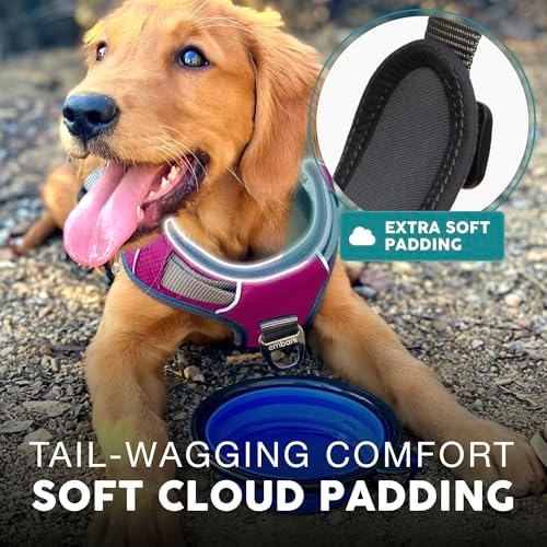 Embark No Pull Dog Harness, Reflective Adjustable Training Vest, No Choke - Image 4