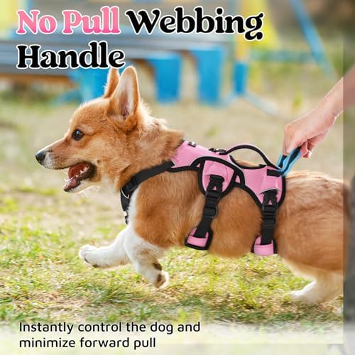 rabbitgoo Escape Proof Dog Harness - Image 4