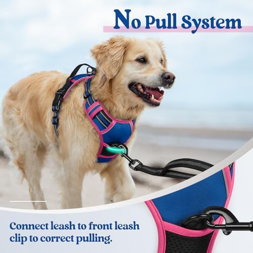 rabbitgoo Dog Harness, No Pull for Large Dogs - Image 5