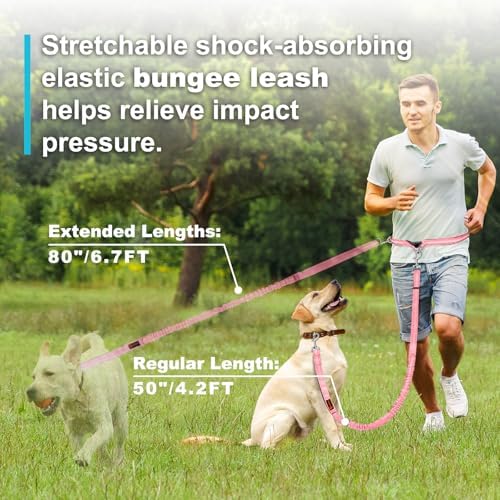 Laqibak Hands Free Dog Leash, Adjustable Waist Leash - Image 5
