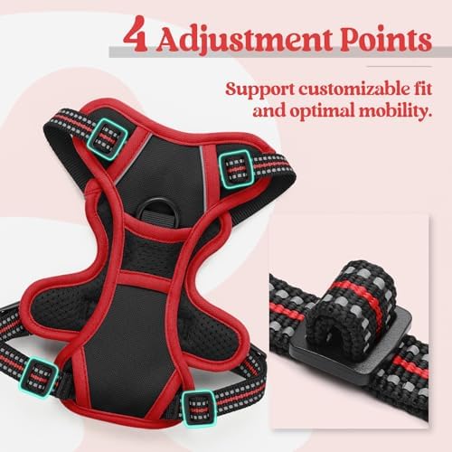 rabbitgoo Dog Harness, No Pull for Small Dogs - Image 4