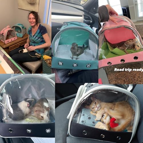 Guinea Pig Carrier Backpack, Bunny Rat Bird - Image 7