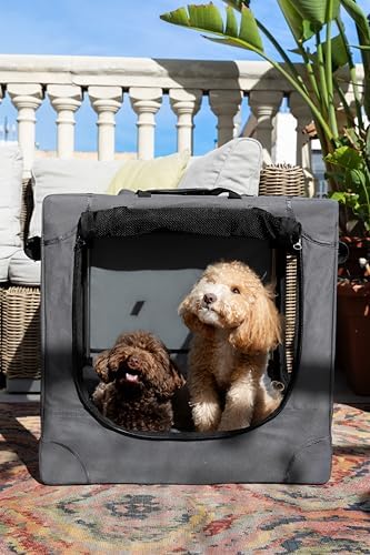 Noah & Paw Collapsible Dog Crate - Image 3