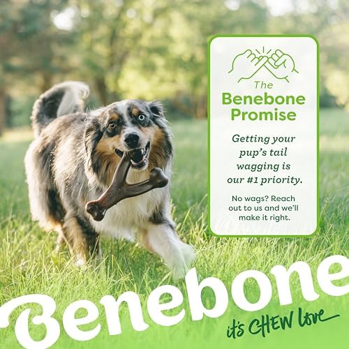Benebone Wishbone Dog Chew Toy for Aggressive Chewers, Real Peanut - Image 6