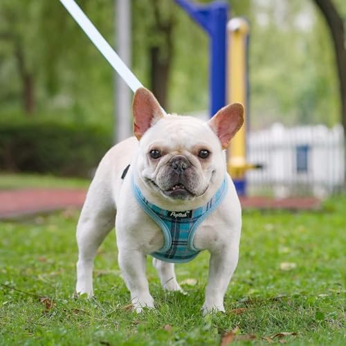 PUPTECK Small Dog Harness and Leash Set No Pull - Image 6